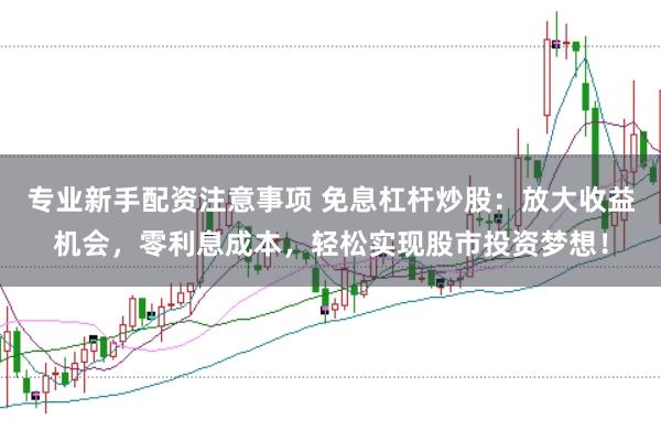 专业新手配资注意事项 免息杠杆炒股：放大收益机会，零利息成本，轻松实现股市投资梦想！