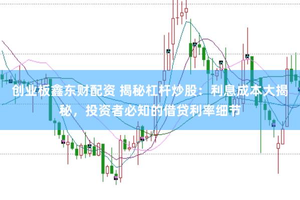 创业板鑫东财配资 揭秘杠杆炒股：利息成本大揭秘，投资者必知的借贷利率细节
