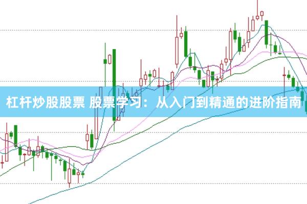 杠杆炒股股票 股票学习：从入门到精通的进阶指南