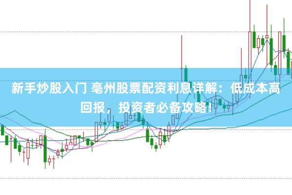 新手炒股入门 亳州股票配资利息详解：低成本高回报，投资者必备攻略！