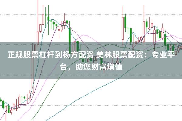 正规股票杠杆到杨方配资 美林股票配资：专业平台，助您财富增值