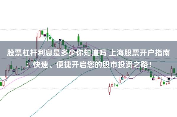 股票杠杆利息是多少你知道吗 上海股票开户指南：快速、便捷开启您的股市投资之路！
