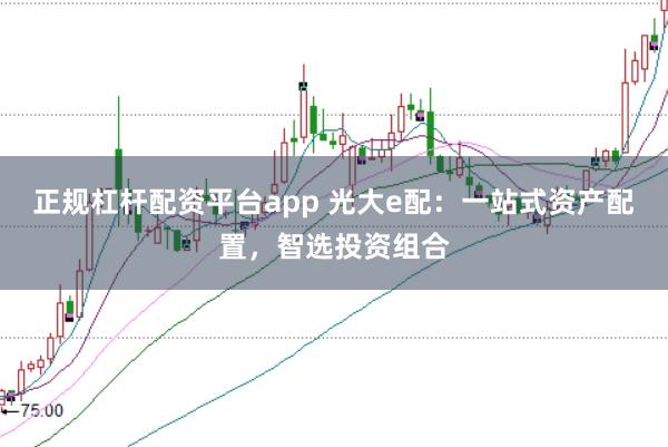 正规杠杆配资平台app 光大e配：一站式资产配置，智选投资组合